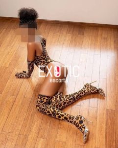 nigeria blog zim location escort